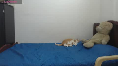 kate_leex online show from June 17, 2026, 6:53 pm