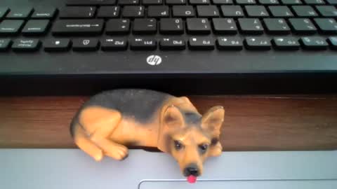 Snapshot of kawa98karbu chatting on June 30, 2026, 12:17 pm kawa98karbu online show from June 30, 2026, 12:17 pm