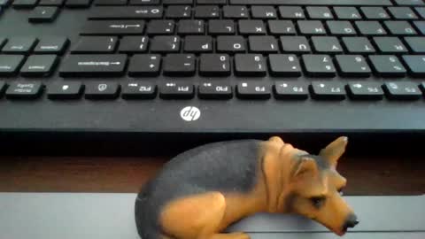 Snapshot of kawa98karbu chatting on July 8, 2026, 12:20 pm kawa98karbu online show from July 8, 2026, 12:20 pm