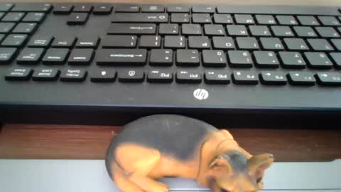 Snapshot of kawa98karbu chatting on July 17, 2026, 1:07 pm kawa98karbu online show from July 17, 2026, 1:07 pm