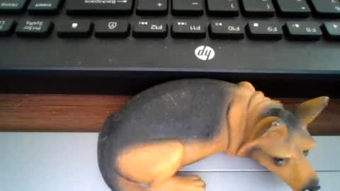 Snapshot of kawa98karbu chatting on July 21, 2026, 1:02 pm kawa98karbu online show from July 21, 2026, 1:02 pm