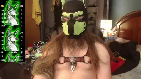 kinkywolf87 online show from July 5, 2026, 9:44 pm