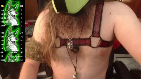 kinkywolf87 online show from July 19, 2026, 8:45 pm