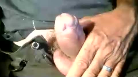 joseph online show from July 22, 2026, 8:55 pm