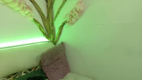     online show from June 11, 2026, 12:14 pm