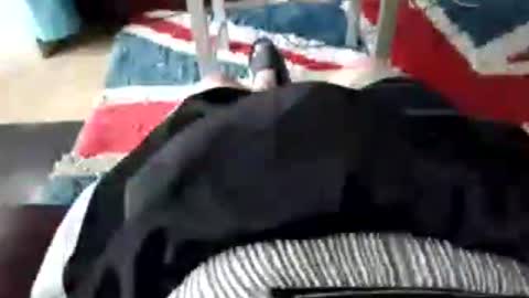 leatherpants68 online show from July 17, 2026, 9:05 am