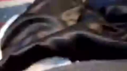 leatherpants68 online show from July 19, 2026, 8:12 pm