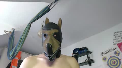 Leather Dog online show from July 8, 2026, 9:14 am