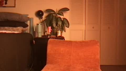 Little Lily online show from June 19, 2026, 4:39 am