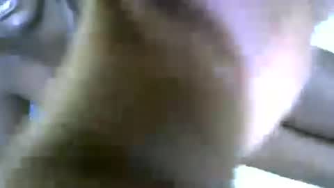 lioness online show from June 27, 2026, 9:14 am