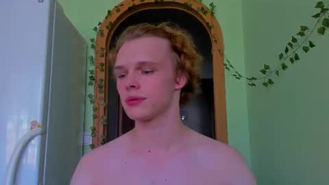 Nelis online show from July 15, 2026, 2:44 pm