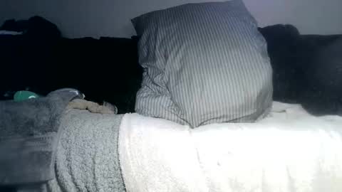 lovetobeused online show from May 4, 2026, 3:02 am