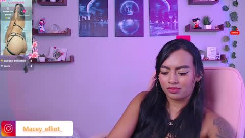 Macey Elliot Modelo Independiente online show from February 6, 2025, 3:31 pm