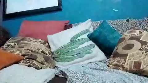 mandrilo7379 online show from June 22, 2026, 6:32 am