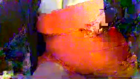 Mrs Venus online show from July 25, 2026, 10:51 pm