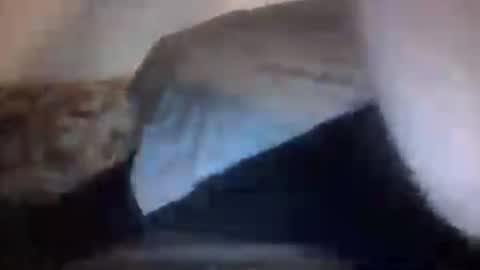 Snapshot of orvillewhitencocker chatting on July 6, 2026, 4:31 am orvillewhitencocker online show from July 6, 2026, 4:31 am