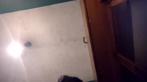 pablo6234516161 online show from May 20, 2026, 11:11 pm