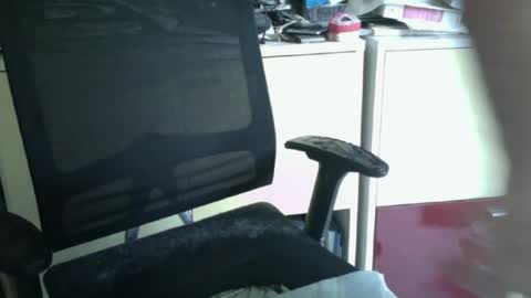 pegaso1000 online show from June 28, 2026, 9:48 am