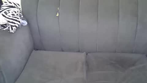 Kitty online show from June 11, 2026, 1:49 am