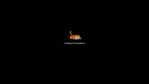 petrli online show from April 29, 2026, 7:34 am