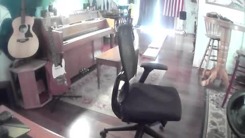 playerpleasure online show from May 28, 2026, 5:54 pm