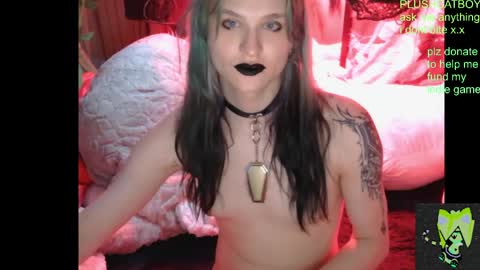 plushcatboy online show from April 21, 2026, 4:08 am
