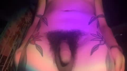 xTemptubusX online show from July 30, 2026, 11:37 pm