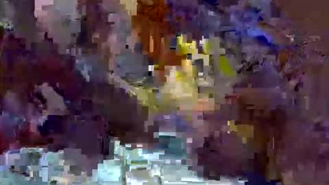 Snapshot of precious_nesh chatting on May 13, 2026, 11:07 am precious_nesh online show from May 13, 2026, 11:07 am