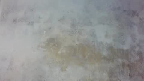 Snapshot of prince_edi chatting on May 25, 2026, 2:45 pm Prince edi online show from May 25, 2026, 2:45 pm