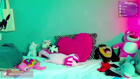 princesxcancer online show from July 28, 2026, 6:53 am