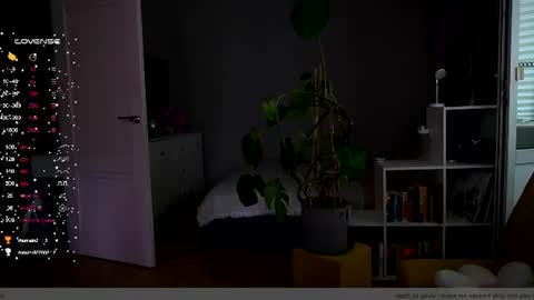 Sasha  wait you here 6 of November. will celebrate my B- day online show from July 27, 2026, 2:02 pm