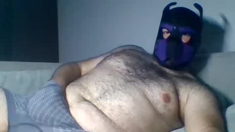 purple_pup_bear online show from August 6, 2026, 9:39 pm