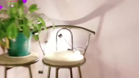 rebeccawhite_meow online show from June 11, 2026, 2:53 am
