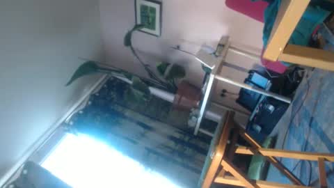 red69600986270 online show from June 8, 2026, 6:52 pm