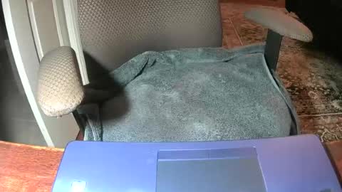 Lookingaround online show from June 22, 2026, 8:55 am