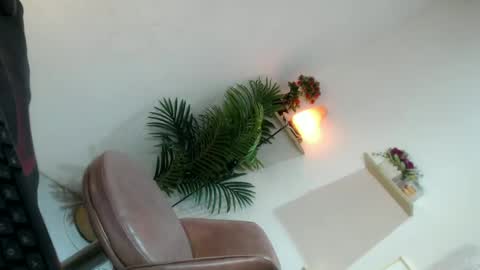    online show from July 6, 2026, 10:12 am