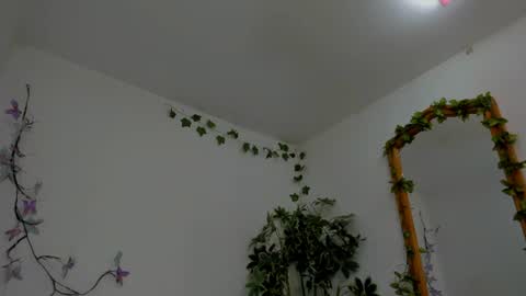 Shego  online show from July 6, 2026, 12:18 am