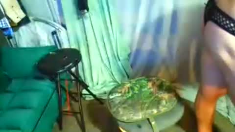 snizniz online show from July 29, 2026, 6:11 am