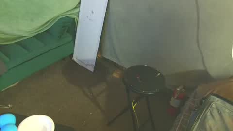 snizniz online show from August 2, 2026, 4:11 am