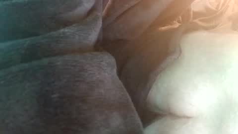 spunfuncumming online show from July 19, 2026, 6:55 pm