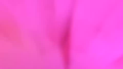 YourdirtysecretxMae online show from July 26, 2026, 3:58 am