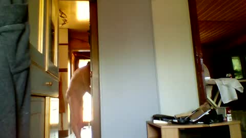 stevefromfrance online show from July 20, 2026, 8:50 am