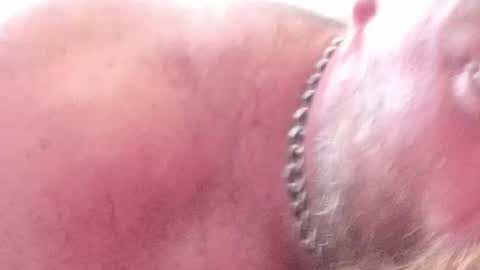 Subbear online show from June 30, 2026, 9:32 am