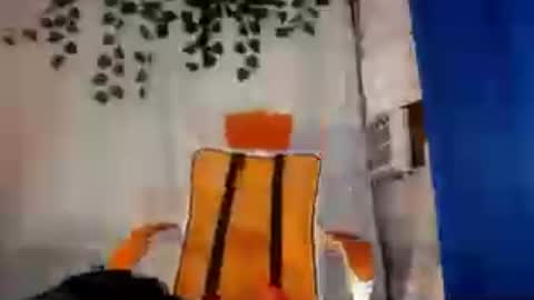 sugar_hotxx online show from July 10, 2026, 12:19 pm