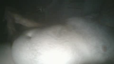tallicas2000 online show from July 16, 2026, 1:44 am