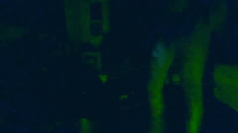 toxicidad_sex online show from June 4, 2026, 9:48 am
