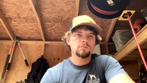 treeman817 online show from June 11, 2026, 11:14 pm
