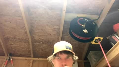 treeman817 online show from June 16, 2026, 1:41 am