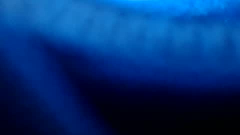 urasian_pinayjessaxxx online show from July 8, 2026, 7:13 am