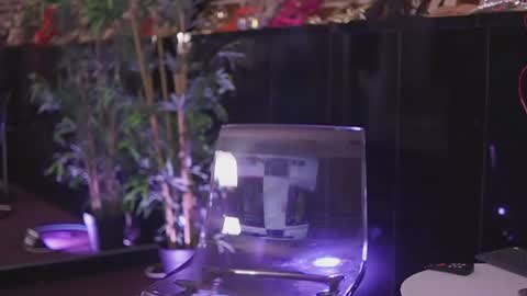 Vanessa online show from July 2, 2026, 6:36 pm